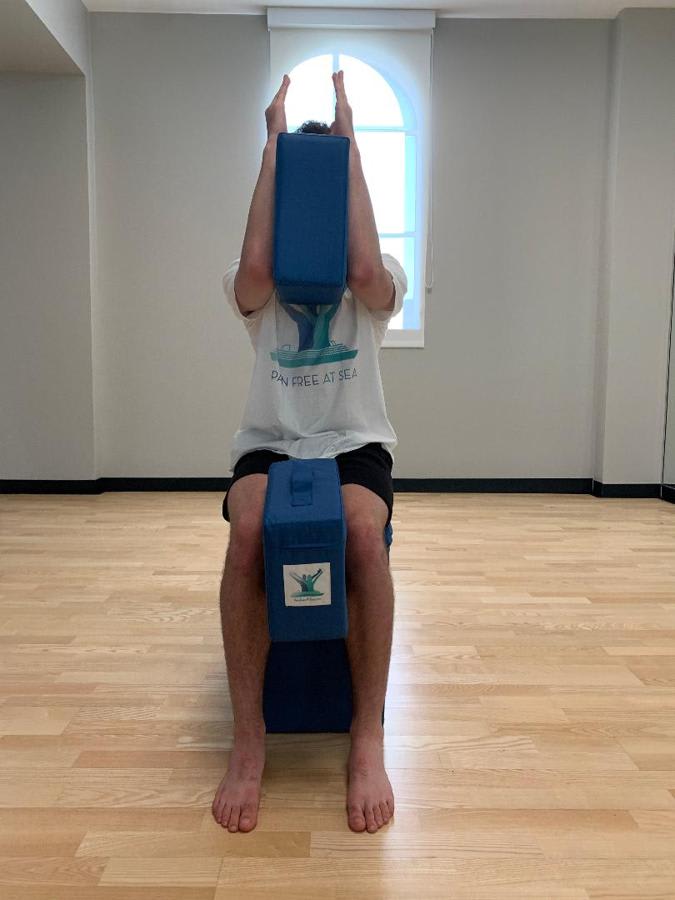 Posture Therapy Pair of Small FOAM Blocks - Image 19