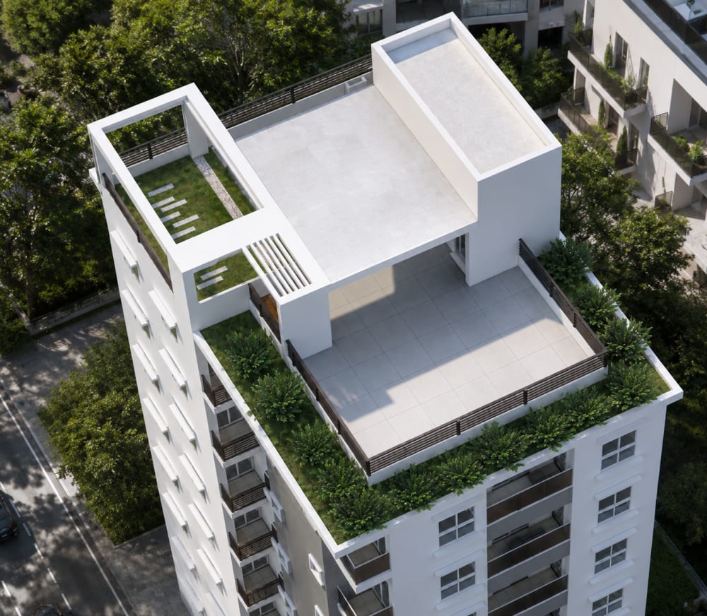 Aerial Zinnia — view 3