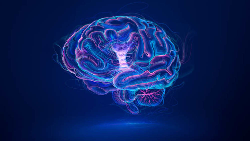 About AB Vista Animal Nutrition Technology Company