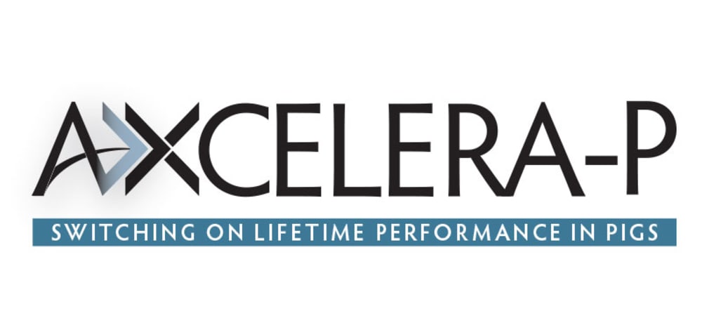 Axcelera-P | The world's first accelerator for pigs | AB Vista