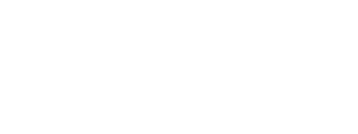 Zoetis logo white png cmyk2