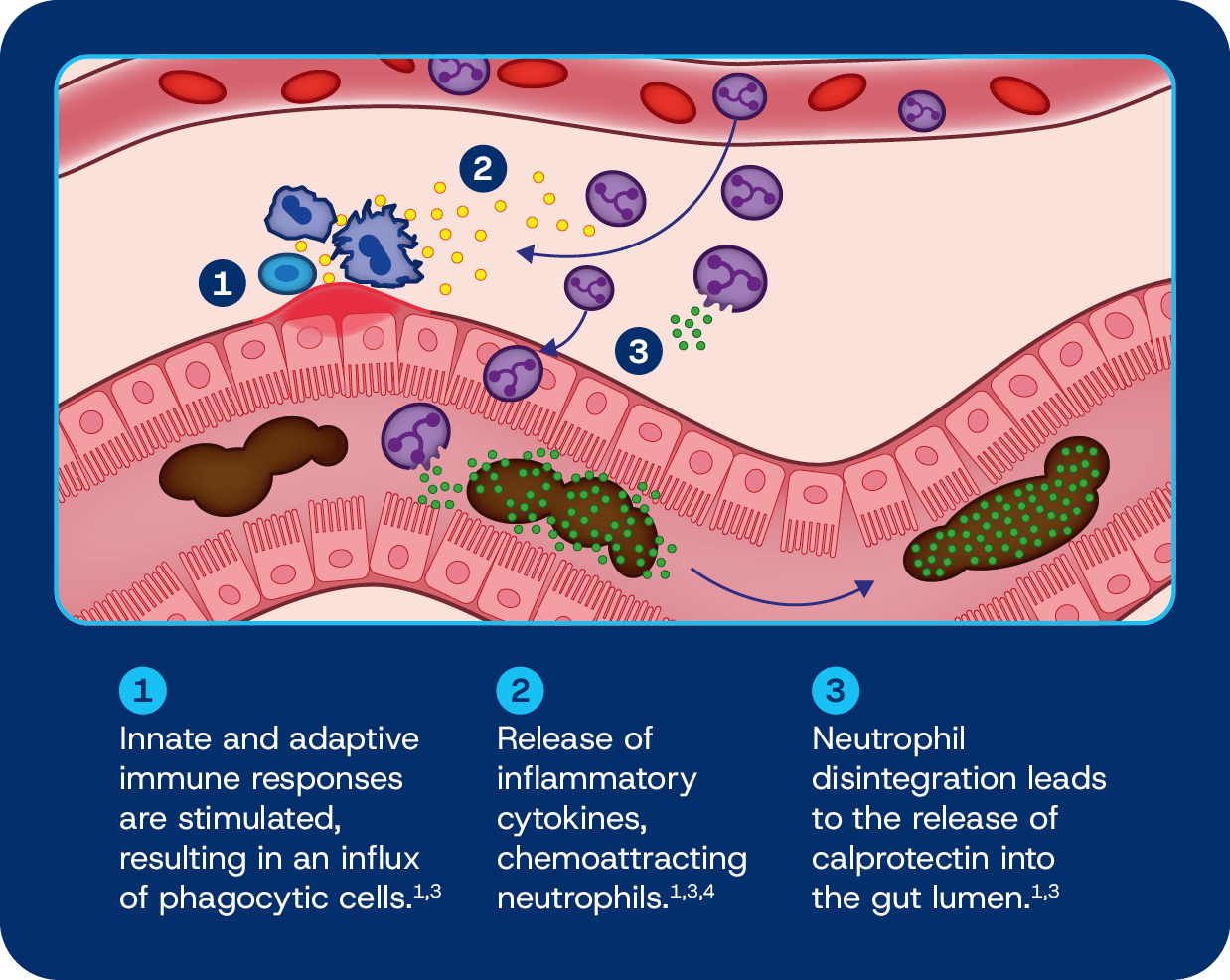 B9161650cc70af793a424f35100d4f5e989f8c7a