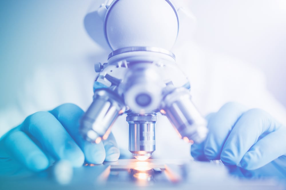 Shutterstock 1011880630