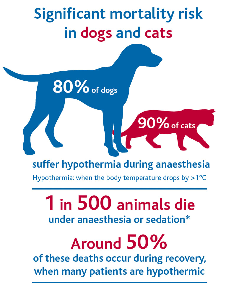 Screenshot 2023 05 16 at 13 02 26