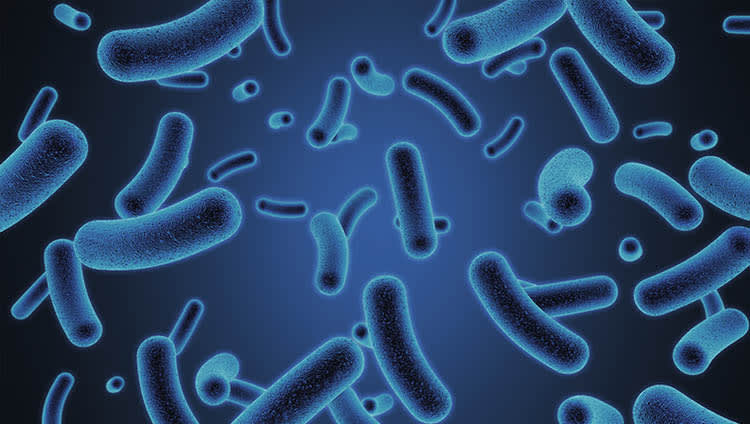  training the animal microbiome to degrade fibre  join us at ippe to learn more