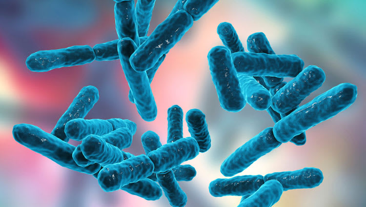 Ab vista research suggests training of animal microbiome to degrade fibre