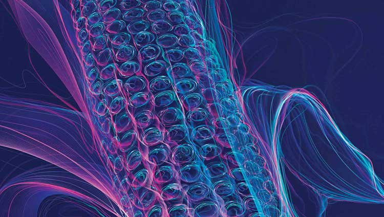 Corn quality variation demonstrates benefits of nir analysis