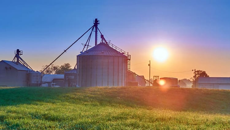 Evaluating factors impacting enzyme recovery in pelleted feeds