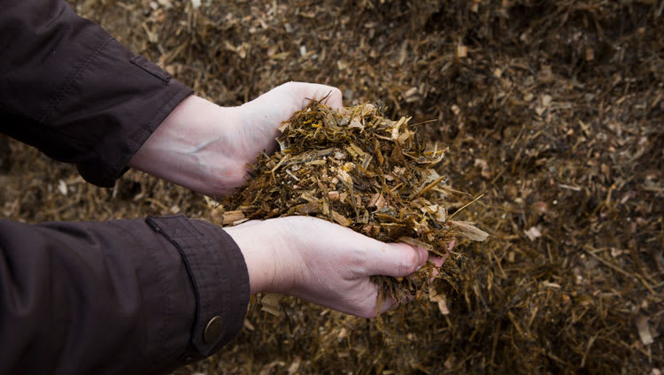 Get more from forage this winter with revolutionary forage pre treatment