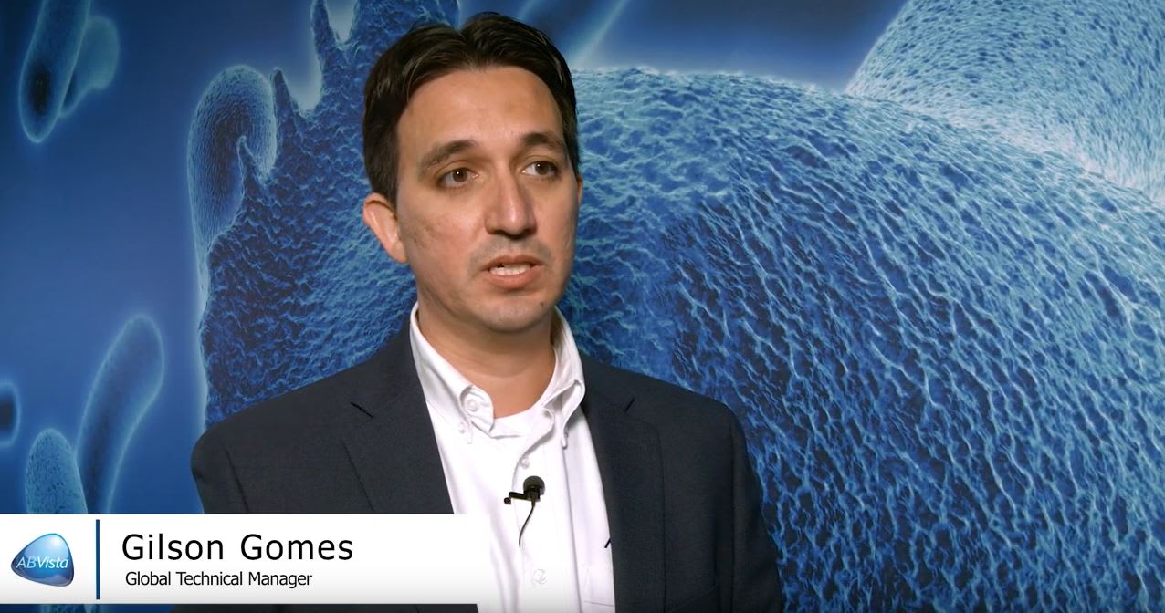 Gilson Gomez AB Vista