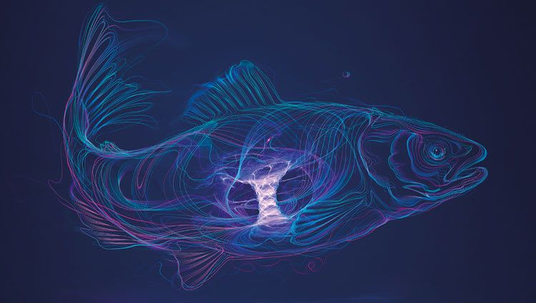 New research explores triple benefit of phytase for tilapia producers