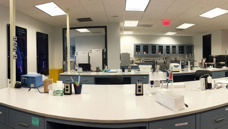 New us lab opens to meet demand for enzyme analysis