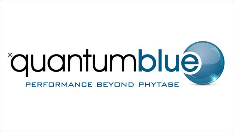 Quantum Blue