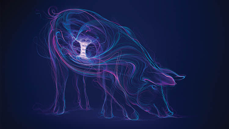 Presenting new swine research at asas adsa midwest meeting