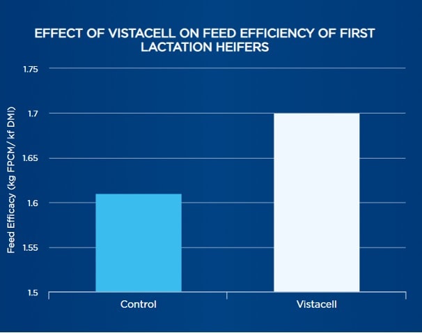 Vistacell chart 1