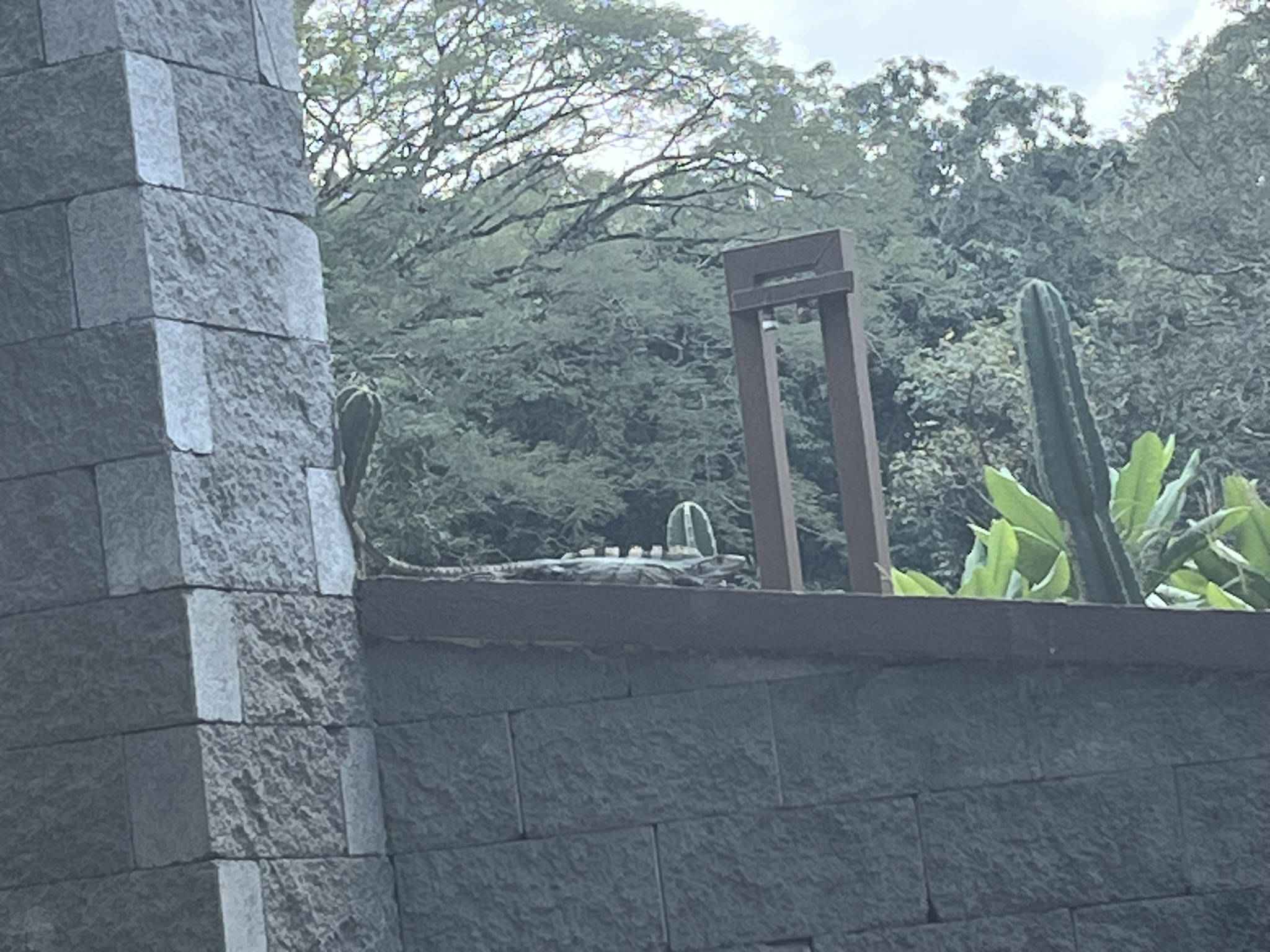 Imagen de Exterior