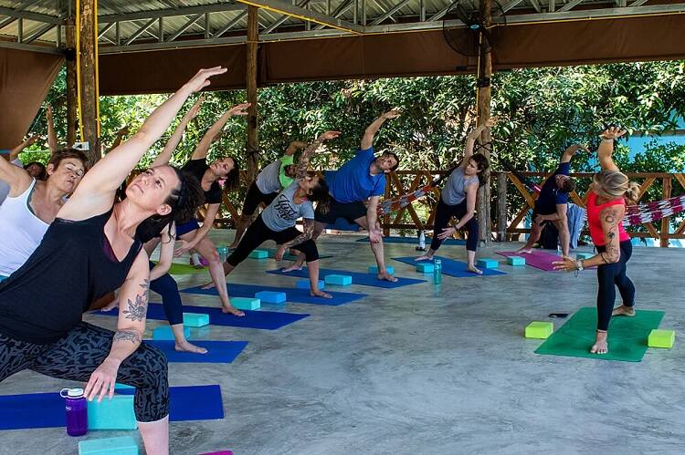 Best Wellness Yoga Retreat