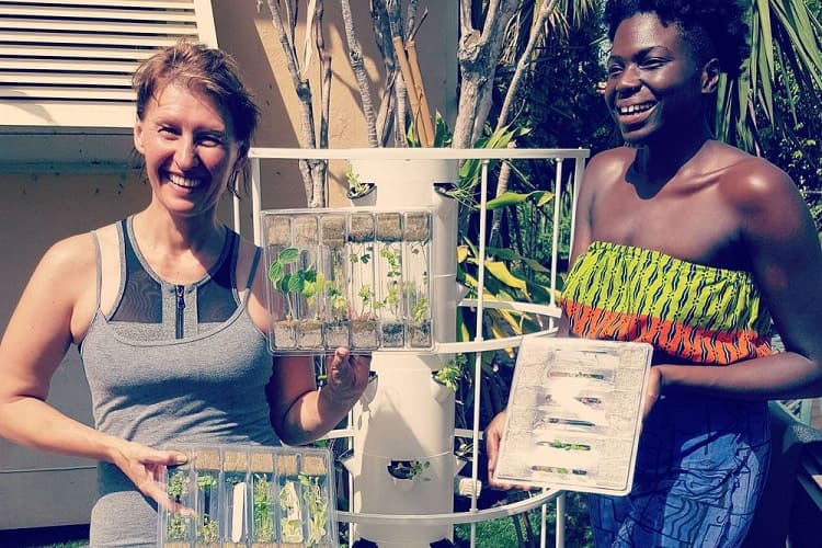 8-Day Liver Detox Yoga and Meditation Wellness Retreat, US