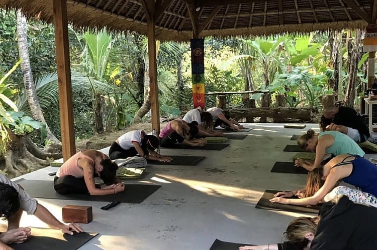 Best Wellness Retreat - 7 Day Wellness Holiday Solo Traveler's Yoga Retreat, Ubud