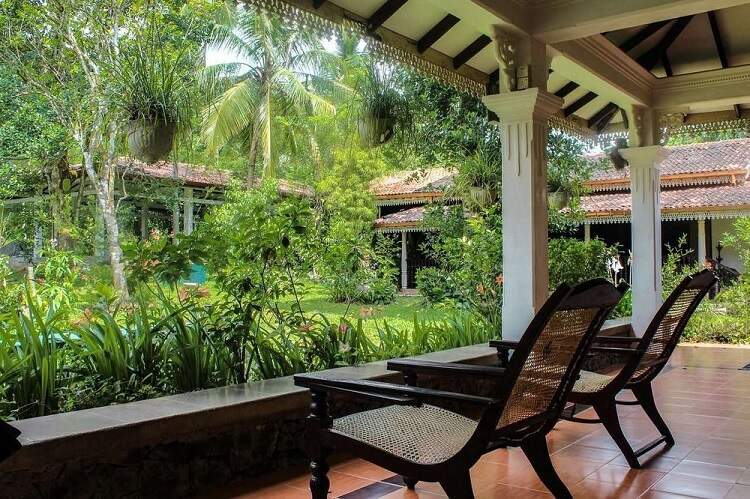 Best Nature Retreat - 10 Day Weight Loss & Yoga Retreat in Nature