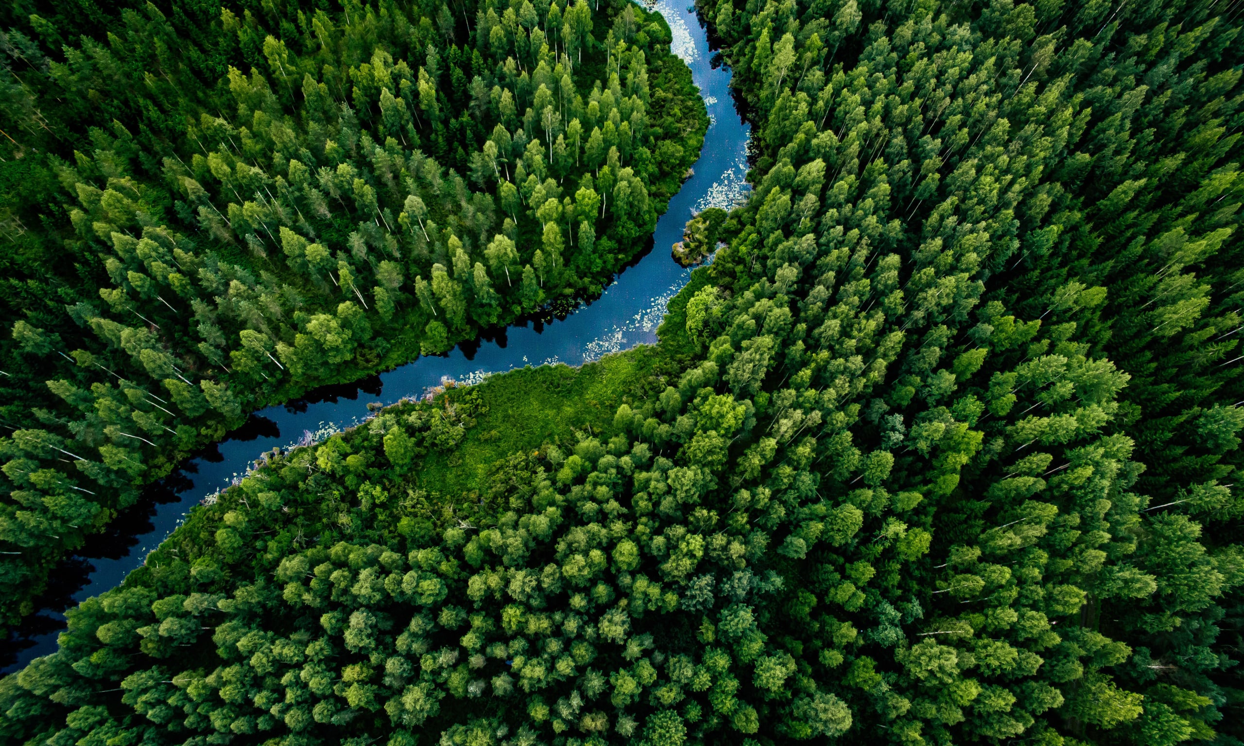 Forest, Pulp and Paper Etteplan