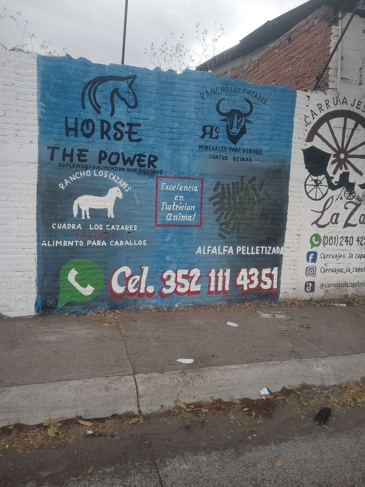 Trabajo de pintura en La Piedad 32
