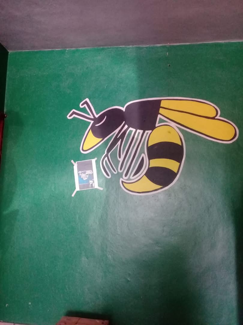 Trabajo de pintura y rótulos en La Piedad 2