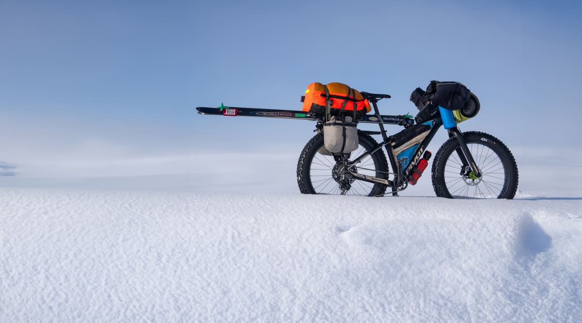 les fat action carousel 3