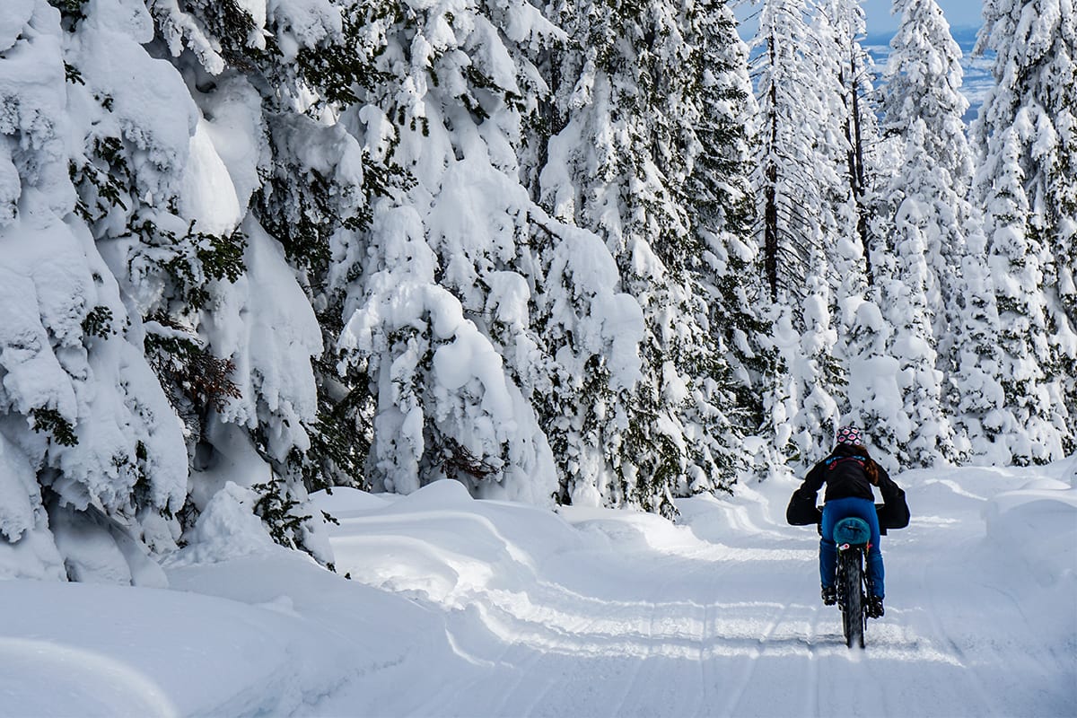 les fat action carousel 4