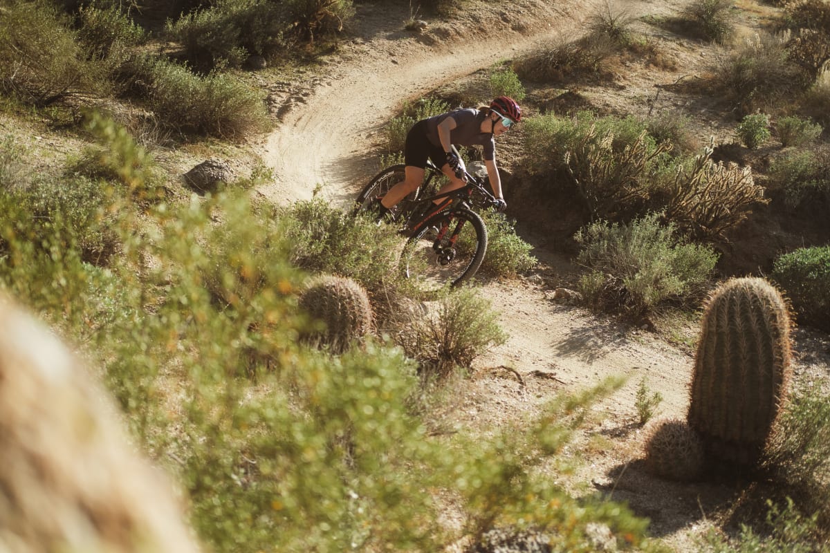 les sl action carousel 2