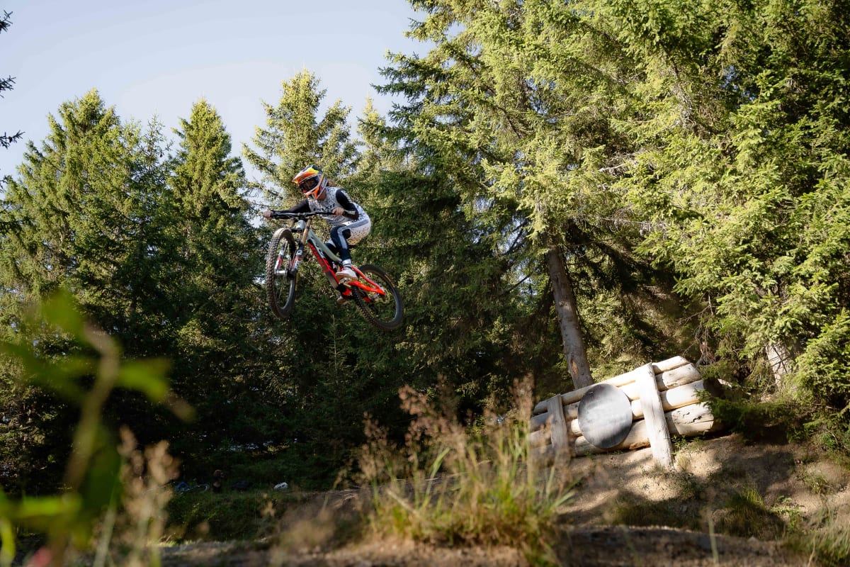 phoenix action carousel 3