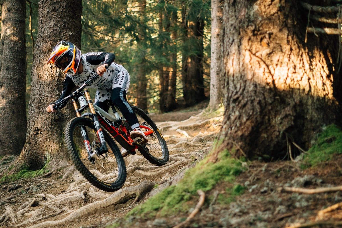 phoenix action carousel 4