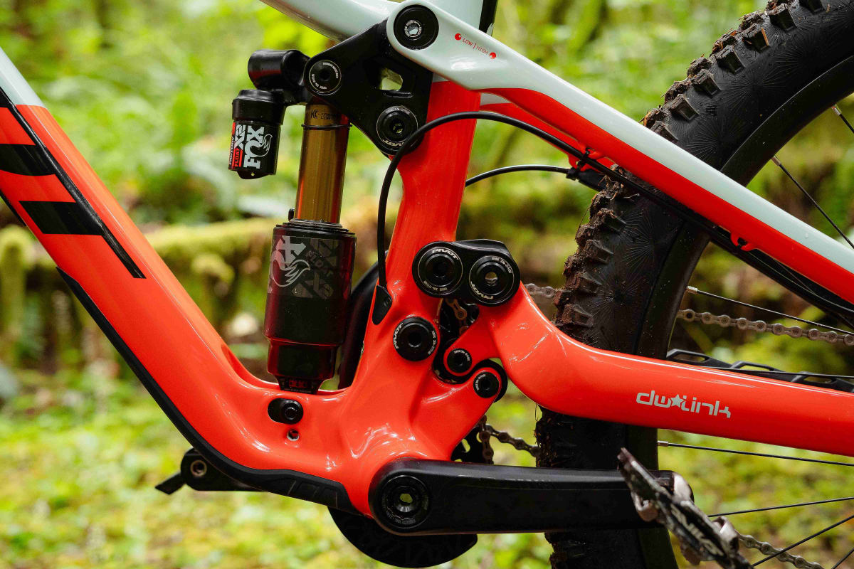 phoenix gallery shock - wild