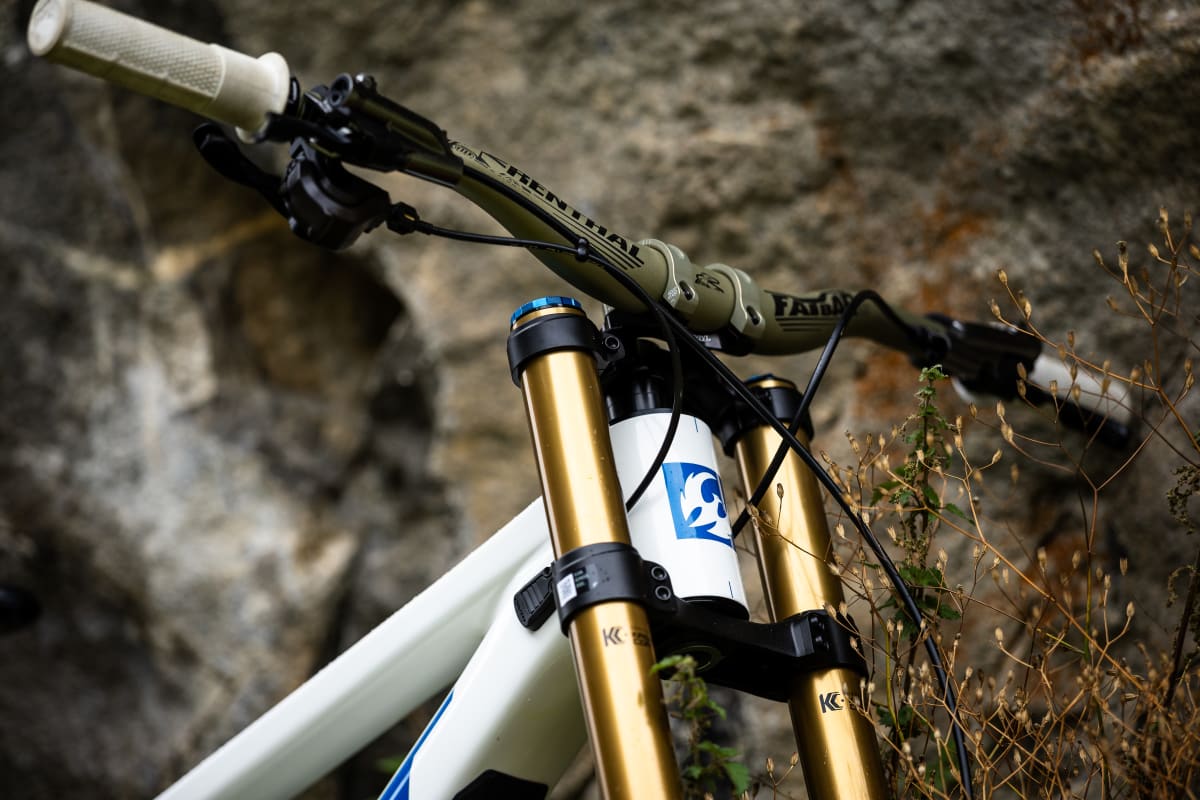 pivot white blue gallery head tube