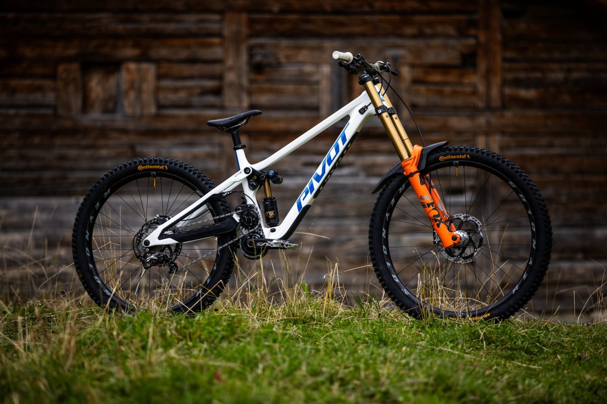 phoenix white blue side shot bike in the wild