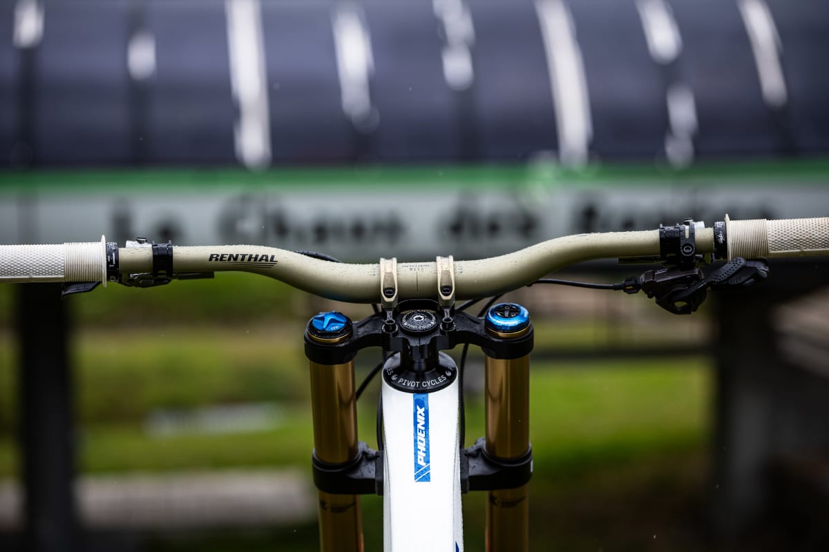 phoenix white blue gallery behind bars