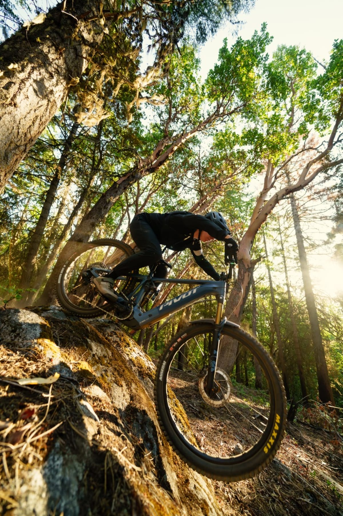 shuttle_am_action_carousel_4 Large