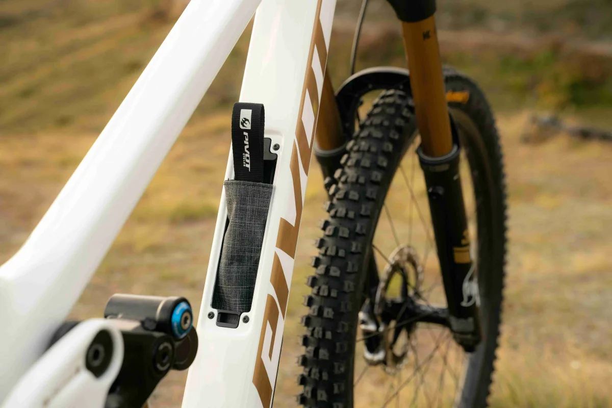 firebird_photo_gallery_beauty_1-QKCVIYJL