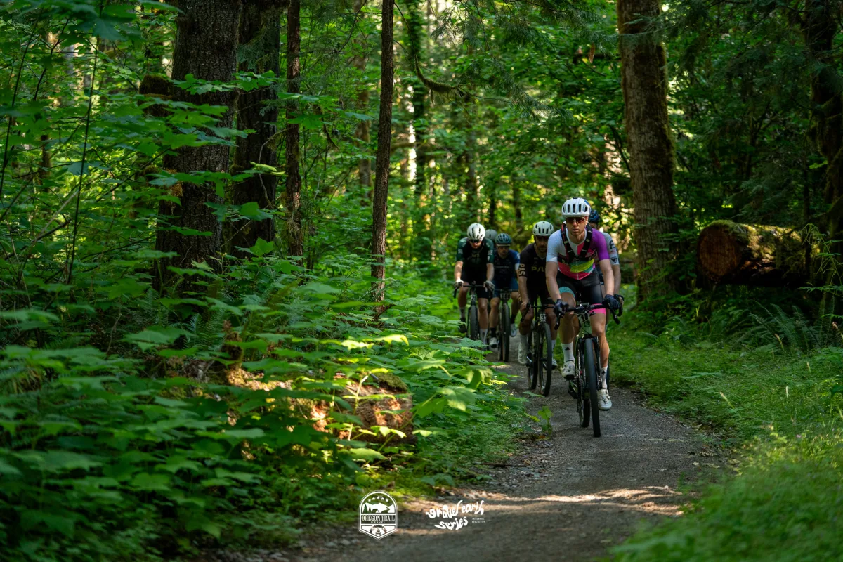 Chris Mehlman gallery 3