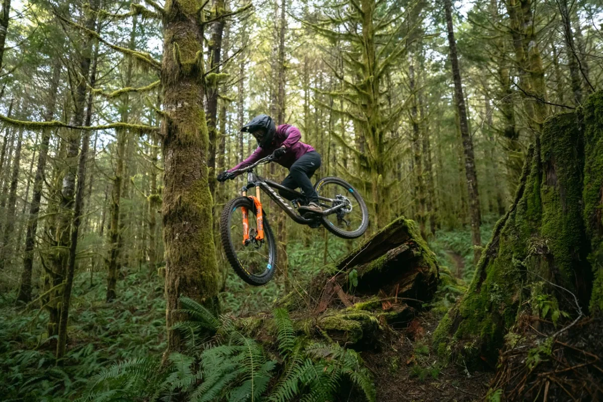 gallery4 Jill kintner