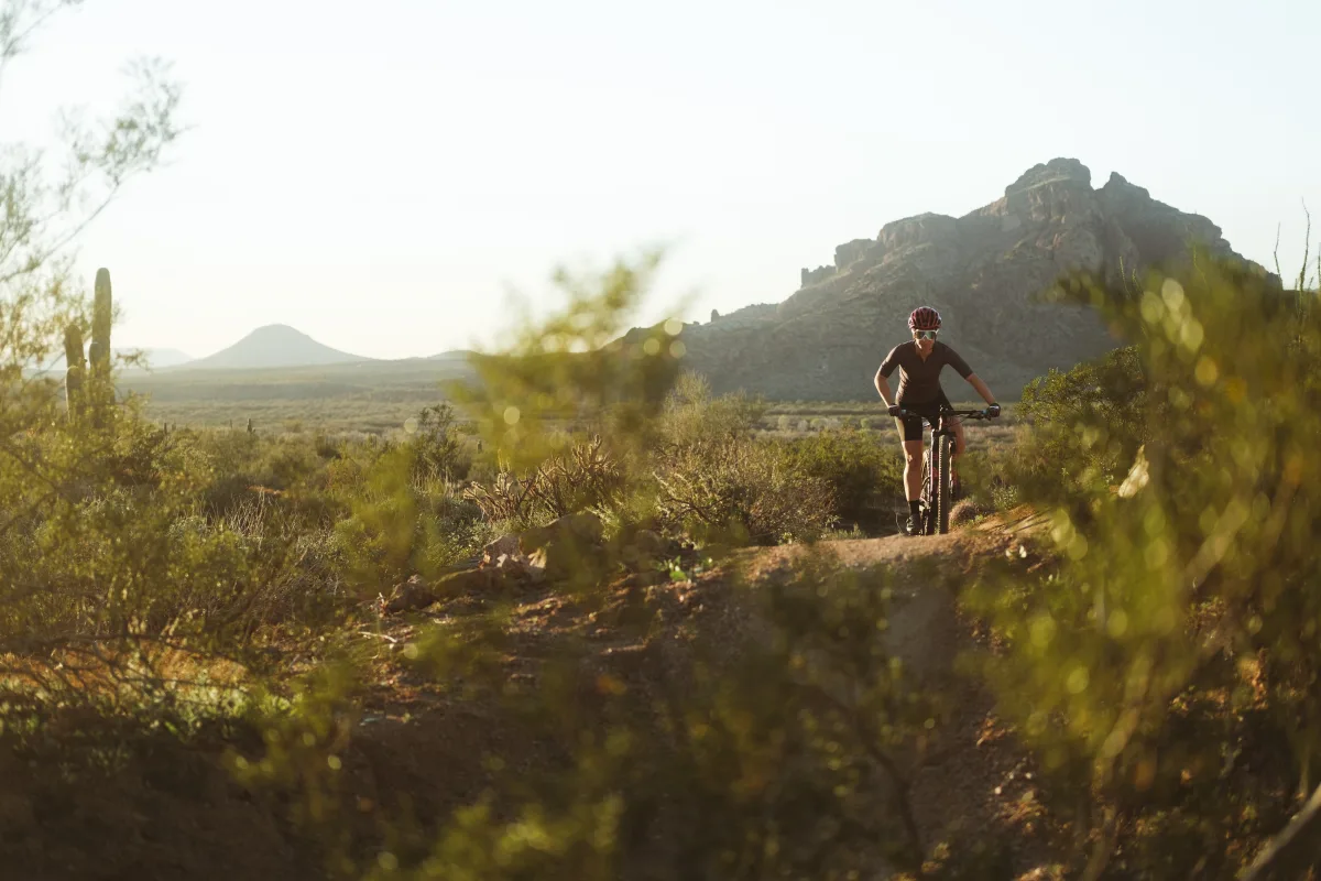 les sl action carousel 4