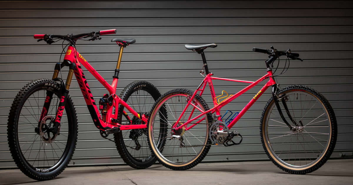 Pivot Switchblade Pro X0 Eagle Transmission