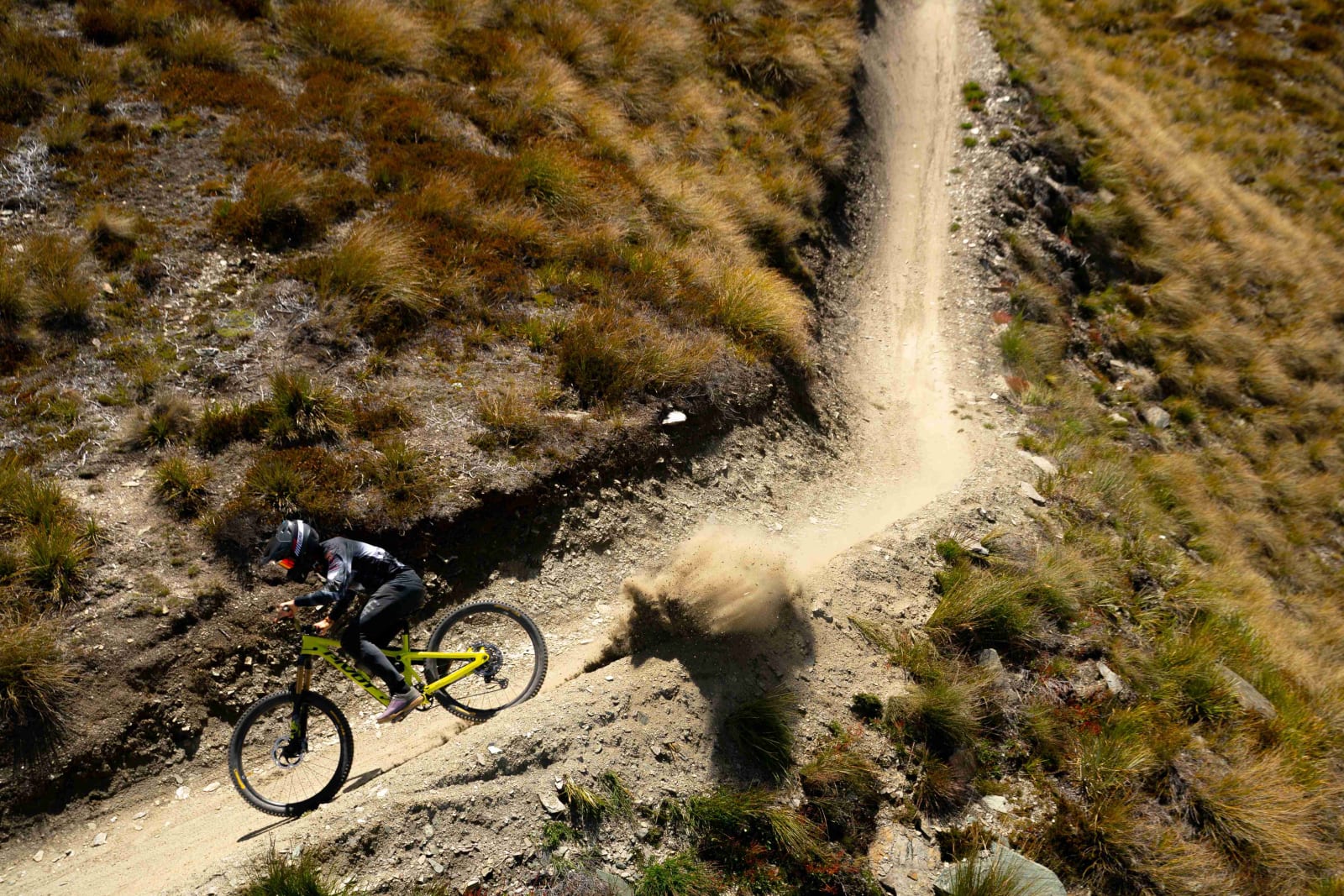 rise and shred