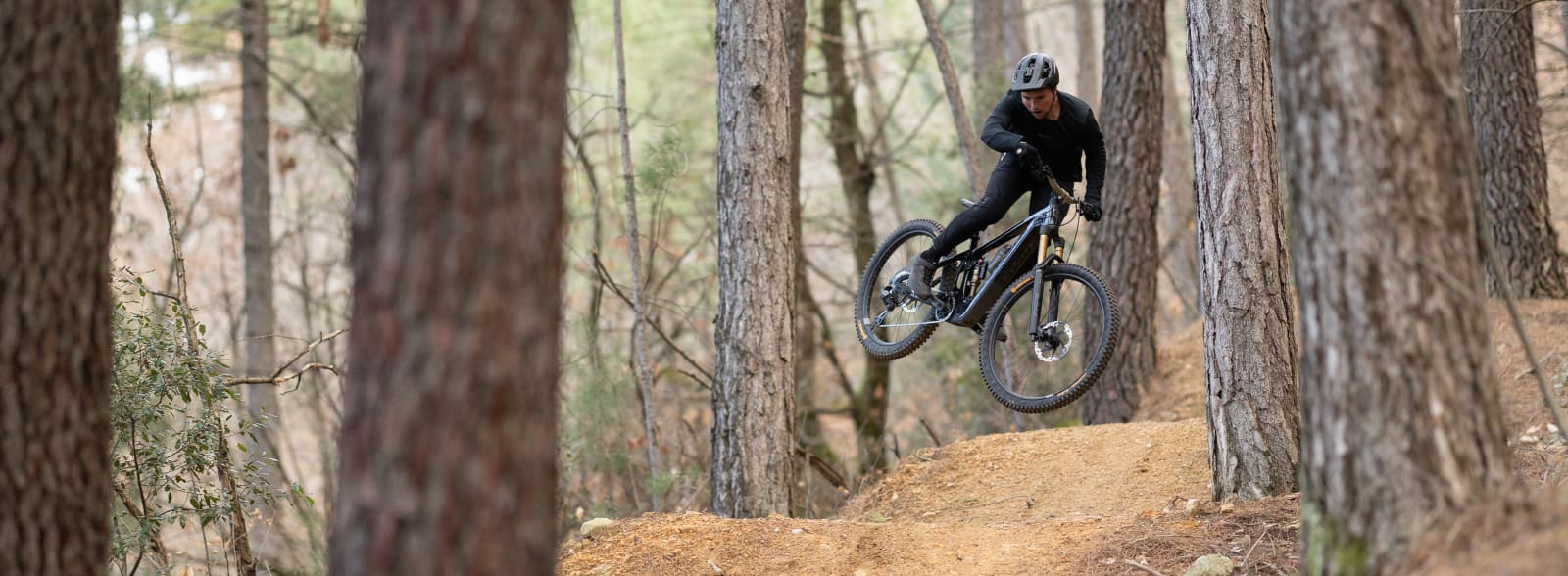 E-Bikes