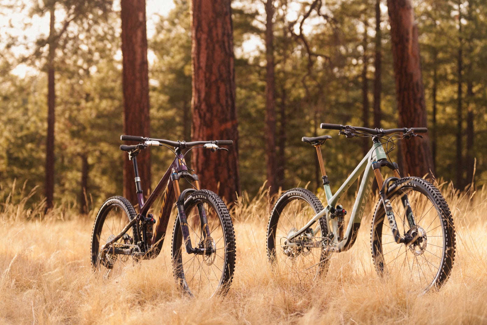 Trailcat SL