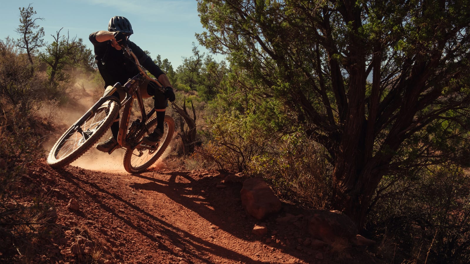 Lifetime Bearing Replacement Program Hero