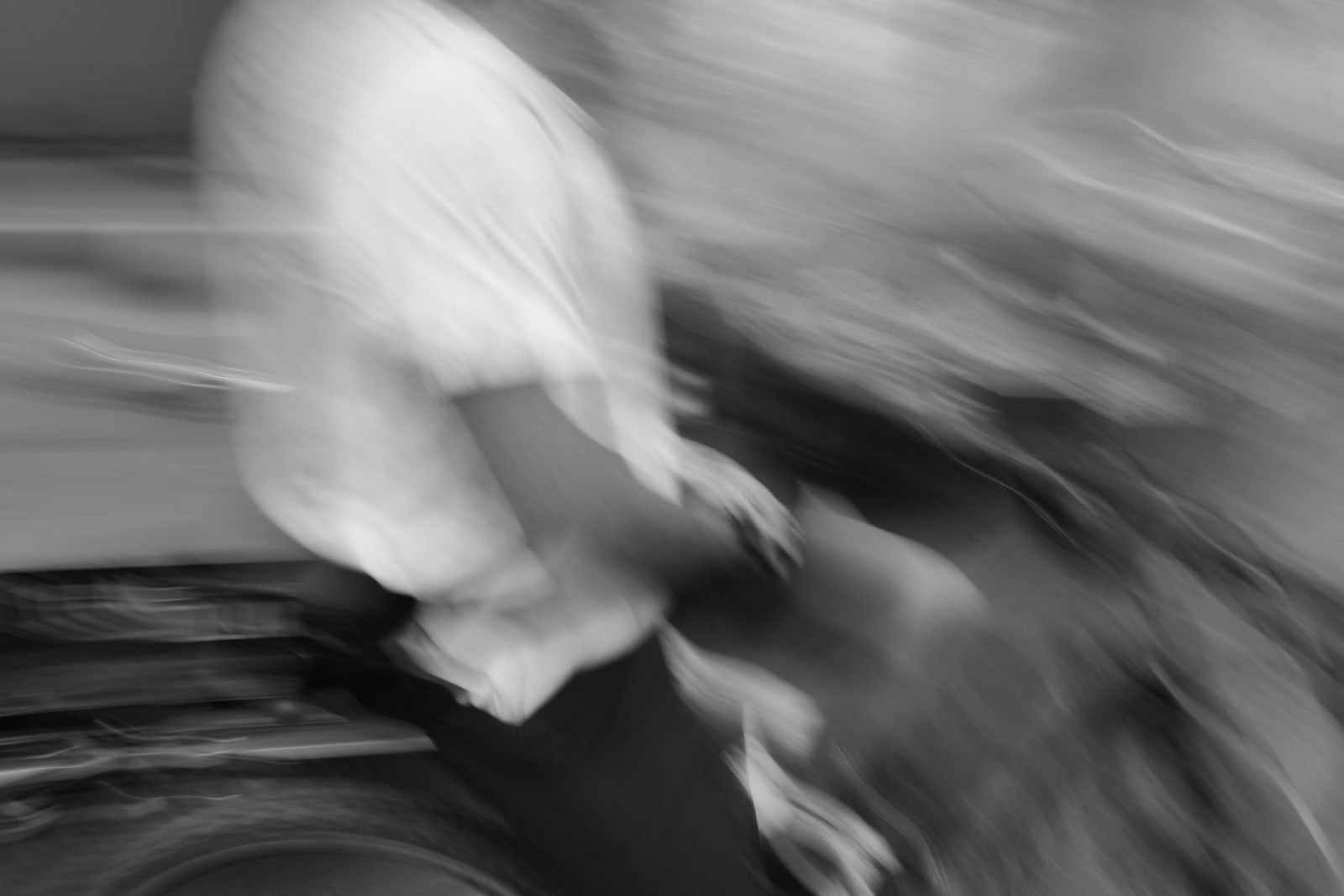 Trophic Cascade Beautifully Blurred