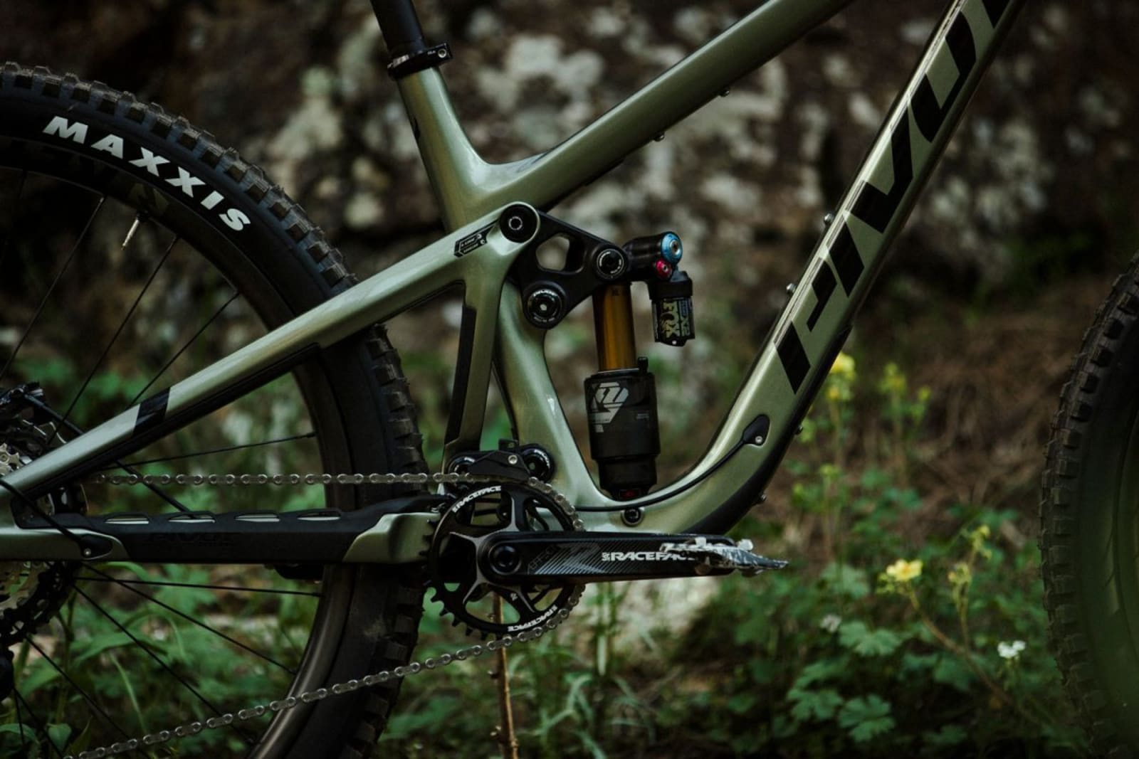 firebird suspension science image