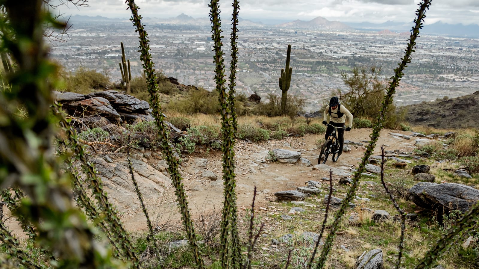 South Mountain Rider