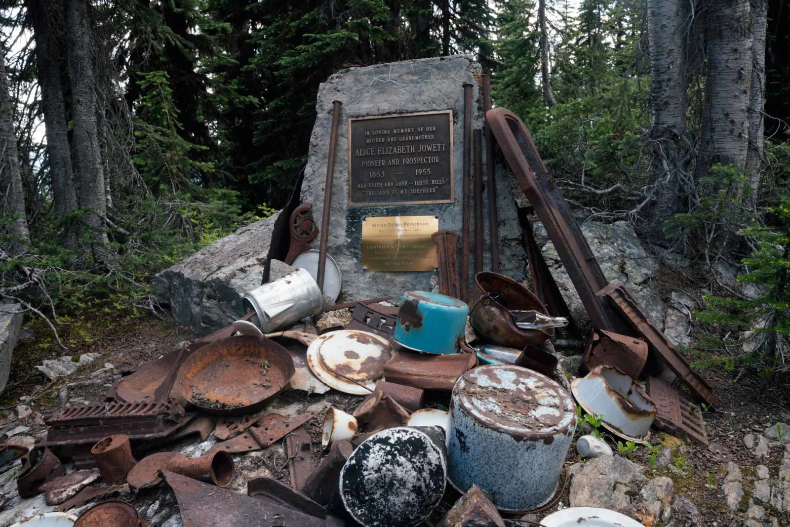 Circle of Silver Resilience